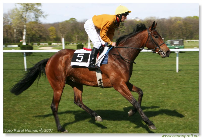 Bratislava - 8. aprla 2007