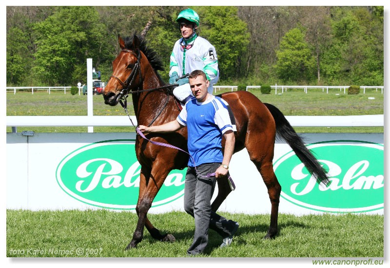 Bratislava - 15. aprla 2007