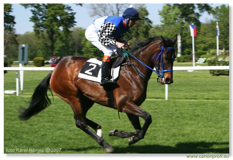 Bratislava - 22. apr�la 2007