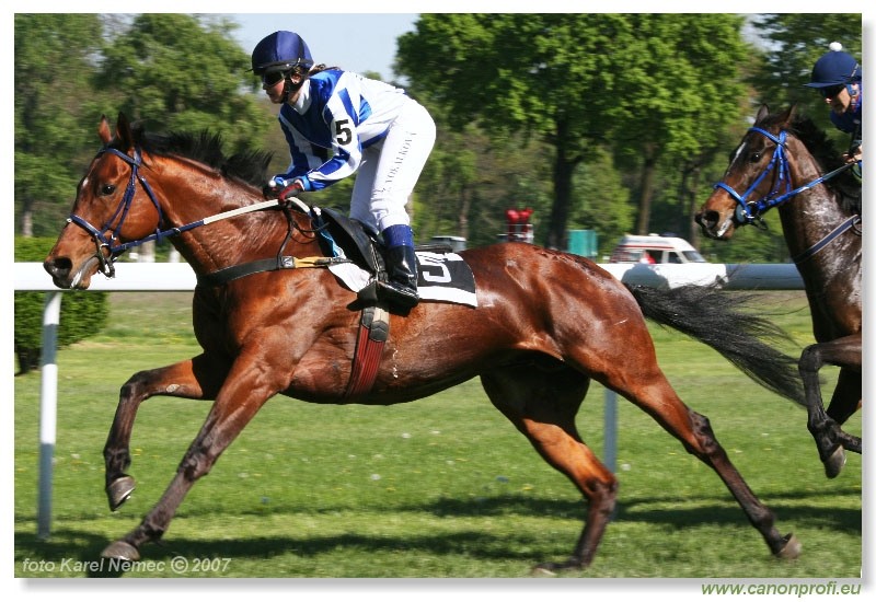 Bratislava - 22. apr�la 2007