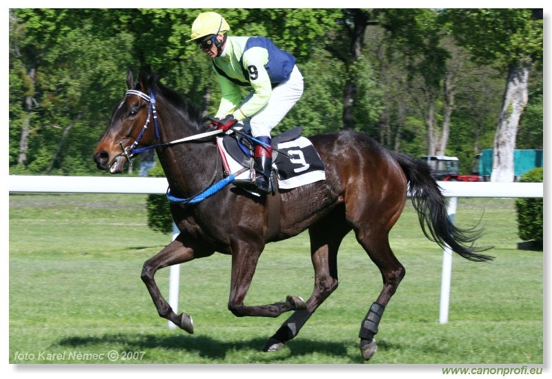 Bratislava - 22. apr�la 2007