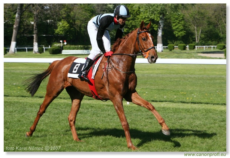 Bratislava - 22. apr�la 2007