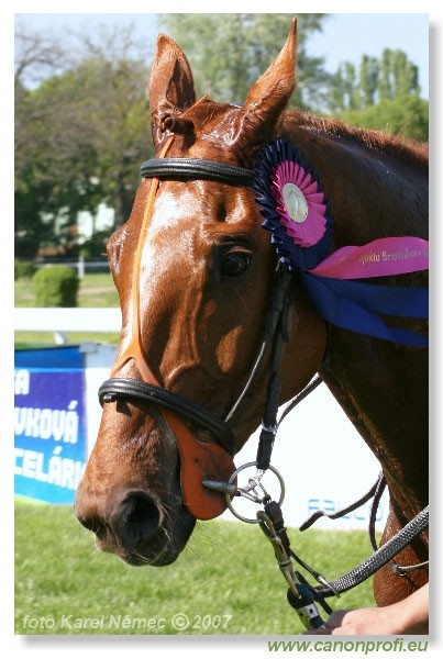 Bratislava - 22. apr�la 2007