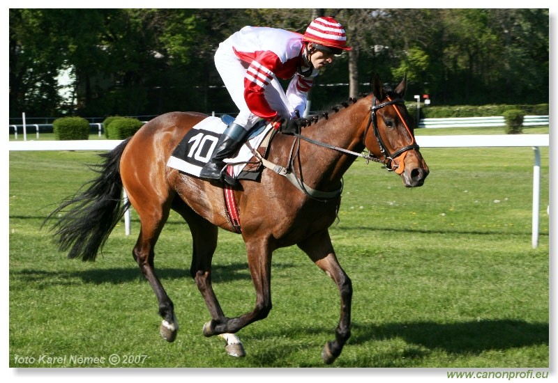 Bratislava - 22. apr�la 2007