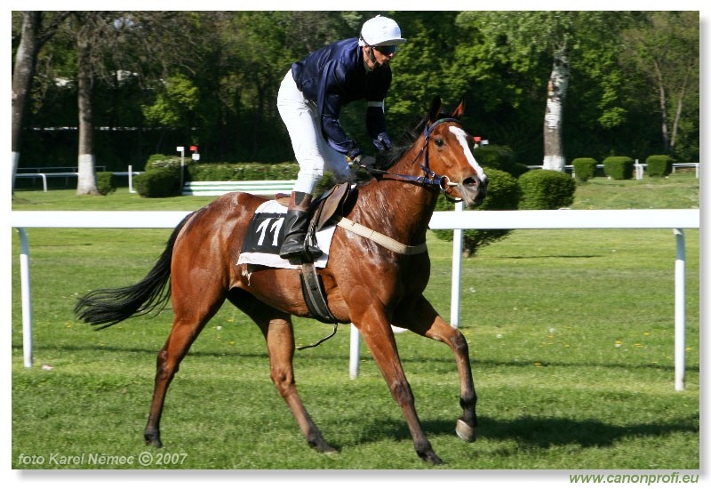 Bratislava - 22. apr�la 2007