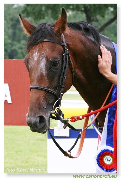 Bratislava - 3. j�na 2007