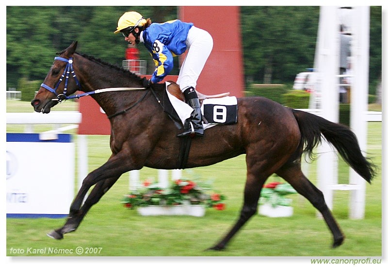 Bratislava - 3. j�na 2007