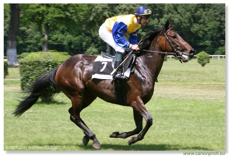 Bratislava - 17. jna 2007