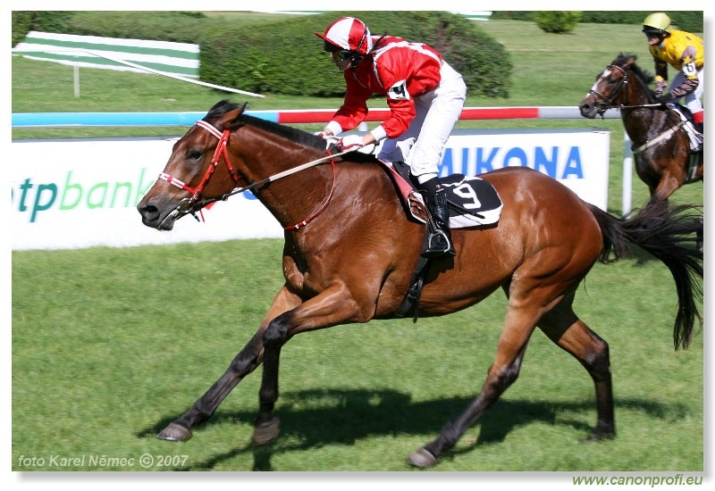 Bratislava - 17. jna 2007