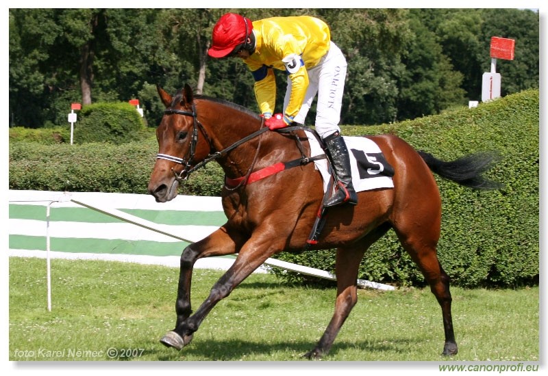 Bratislava - 24. jna 2007