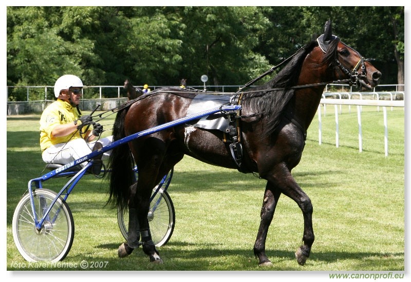 Bratislava - 1. j�la 2007