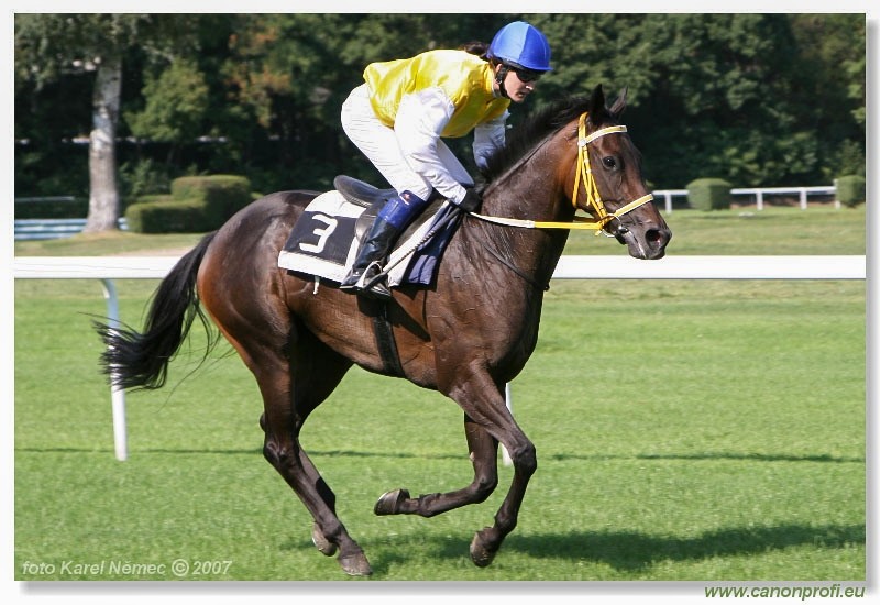 Bratislava - 26. augusta 2007