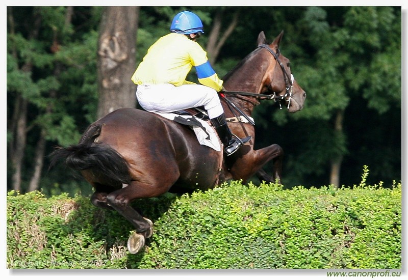 Bratislava - 2. septembra 2007