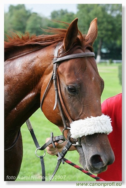 Bratislava - 2. septembra 2007