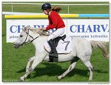 pony I 