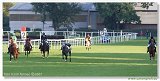 pony II 