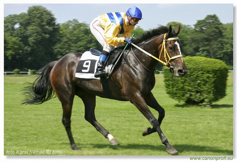 Bratislava - 18. jna 2006