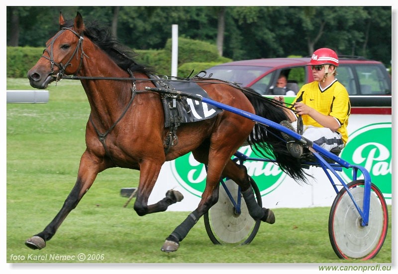 Bratislava - 2. j�la 2006