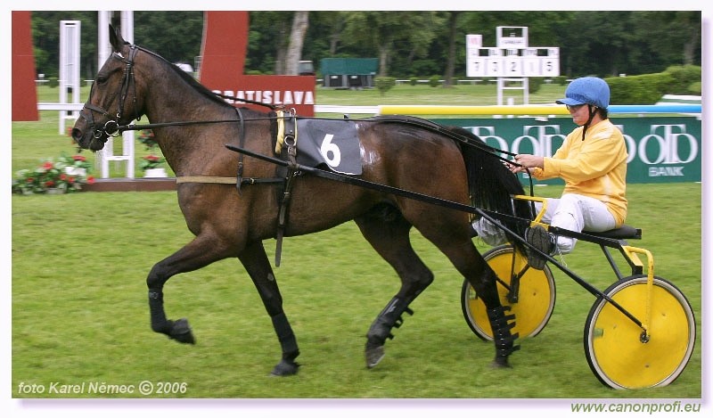 Bratislava - 2. j�la 2006