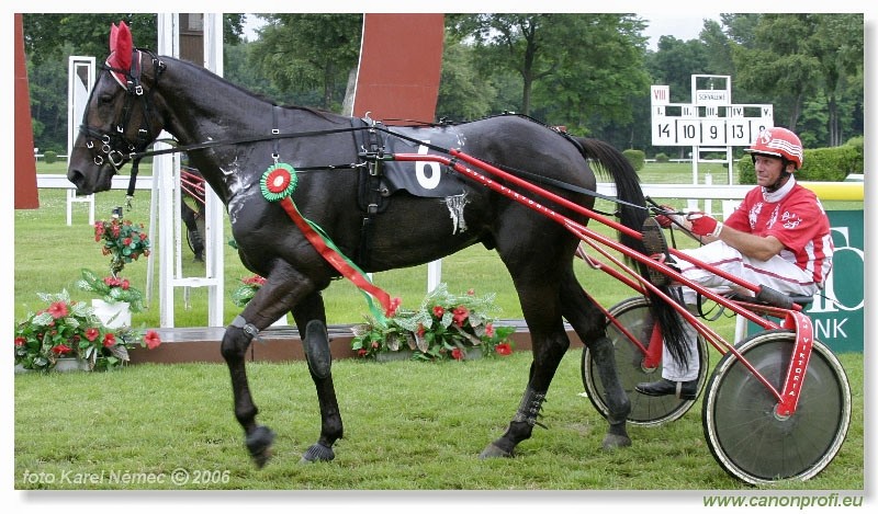 Bratislava - 2. j�la 2006