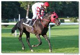 Saint Leger 