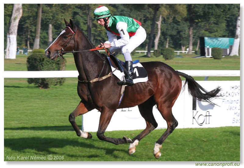 Bratislava - 15. oktbra 2006