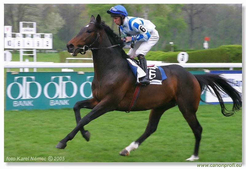 Bratislava - 17. aprla 2005