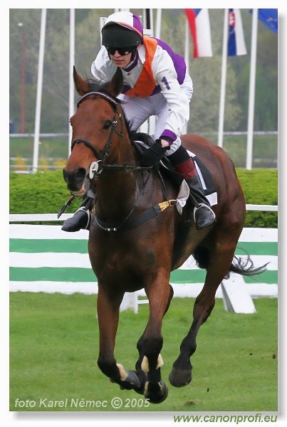Bratislava - 17. aprla 2005
