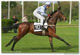 Handicap Vitalindy 