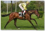 Handicap Vitalindy 