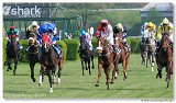 Handicap Vitalindy 