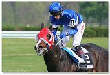 Handicap Vitalindy 