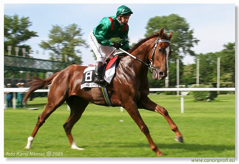 Bratislava - 22. m�ja 2005