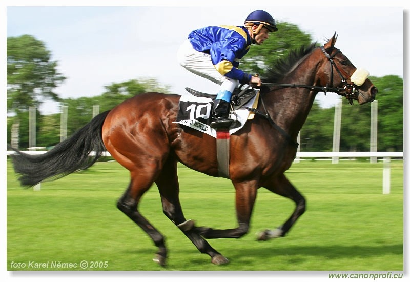 Bratislava - 22. m�ja 2005