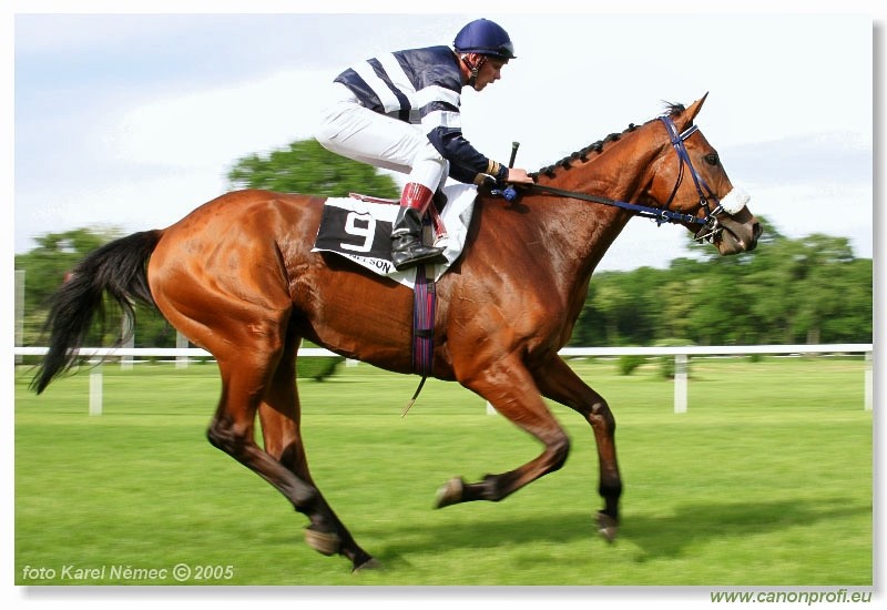 Bratislava - 22. m�ja 2005