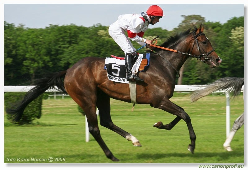 Bratislava - 22. m�ja 2005