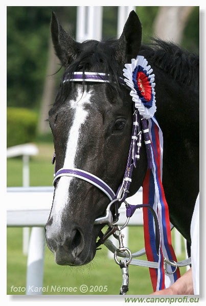 Bratislava - 22. m�ja 2005