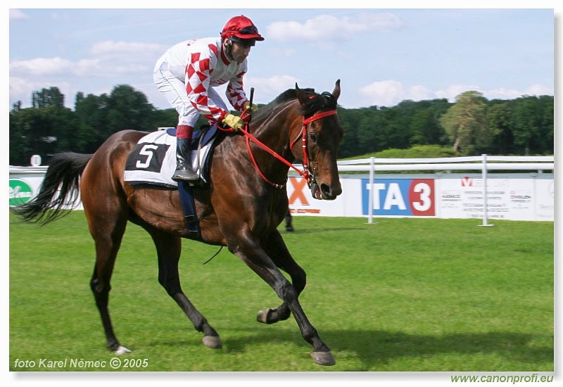 Bratislava - 19. jna 2005