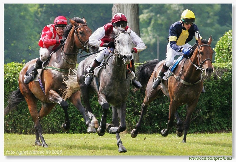 Bratislava - 26. j�na 2005