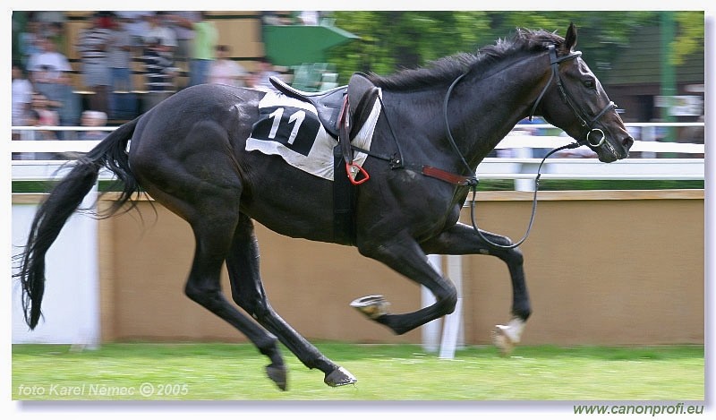 Bratislava - 26. j�na 2005