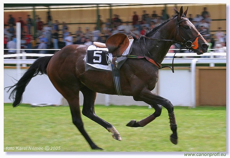 Bratislava - 26. j�na 2005