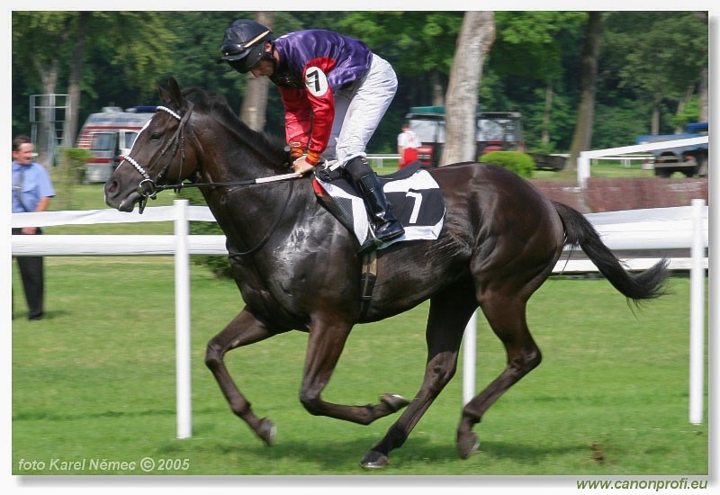 Bratislava - 26. j�na 2005