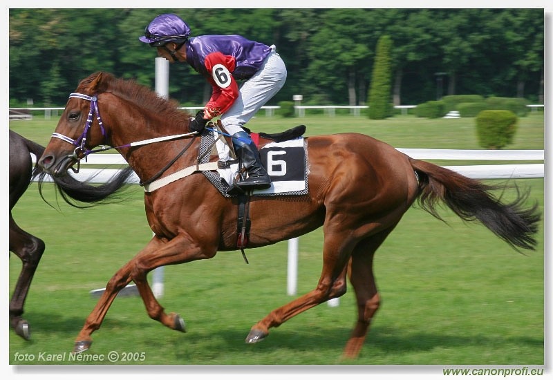 Bratislava - 26. j�na 2005