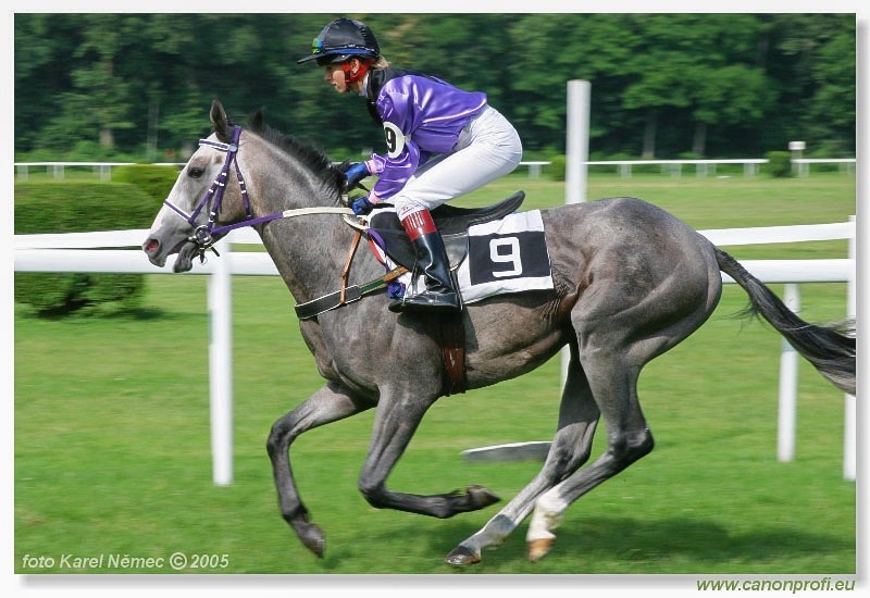 Bratislava - 26. j�na 2005