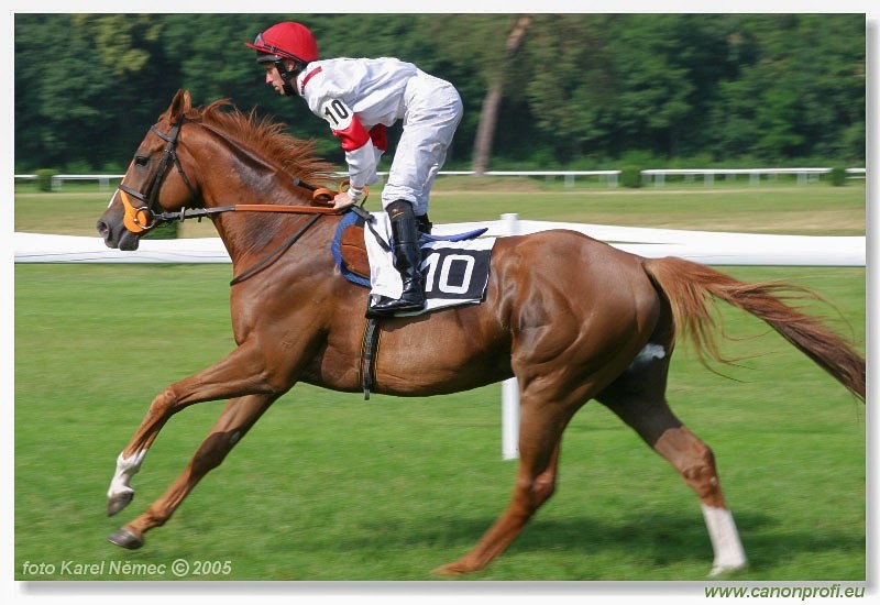 Bratislava - 26. j�na 2005