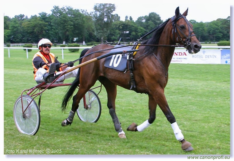 Bratislava - 3. jla 2005