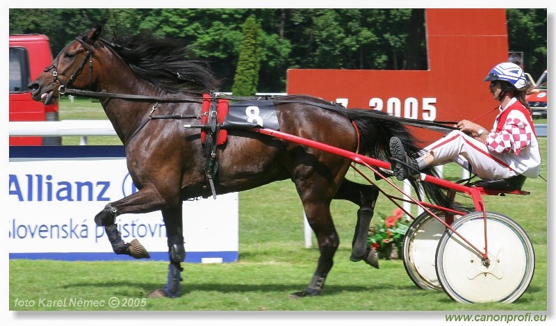 Bratislava - 3. jla 2005