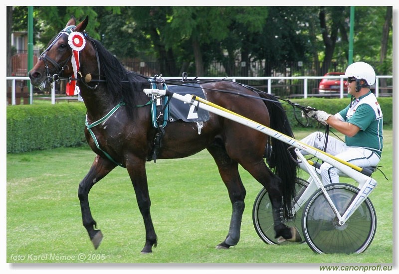 Bratislava - 3. jla 2005