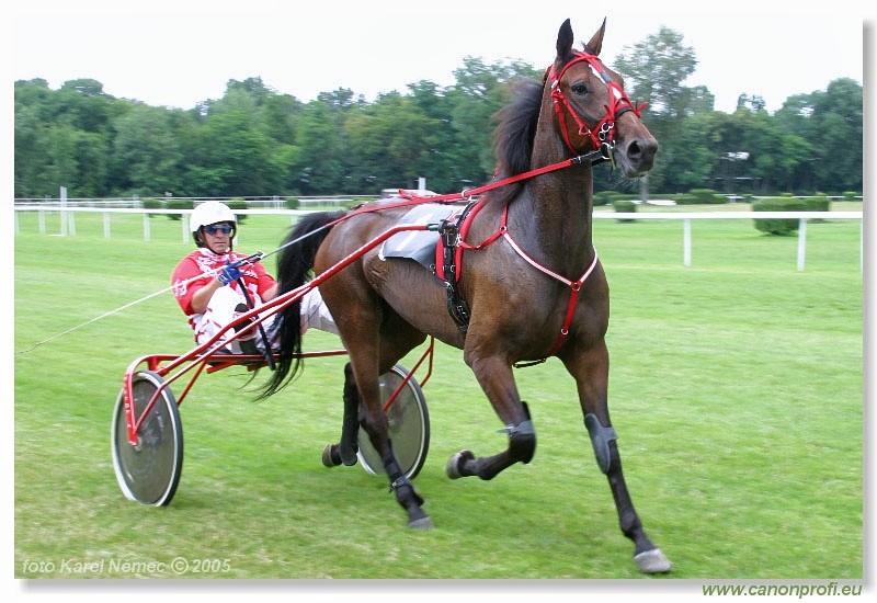 Bratislava - 3. jla 2005