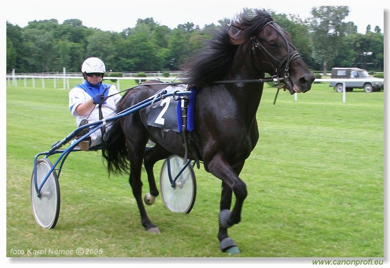 Bratislava - 3. jla 2005